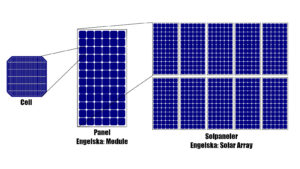 Pv_cells.svg_